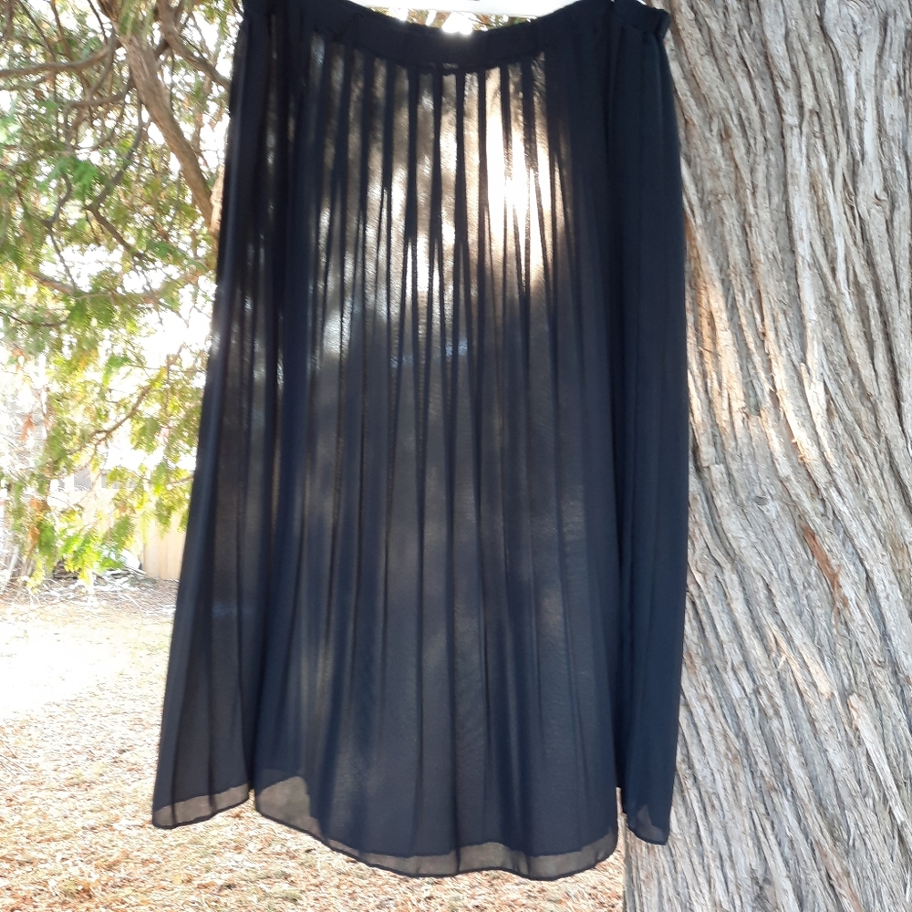 Sheer, Black Pleated Long Skirt, Elasticized Waist Band